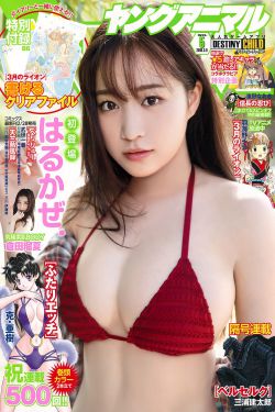 大头儿子和小头爸爸
