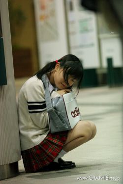 广东卫视节目表
