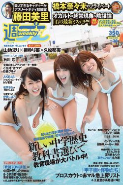 超级宠兽系统